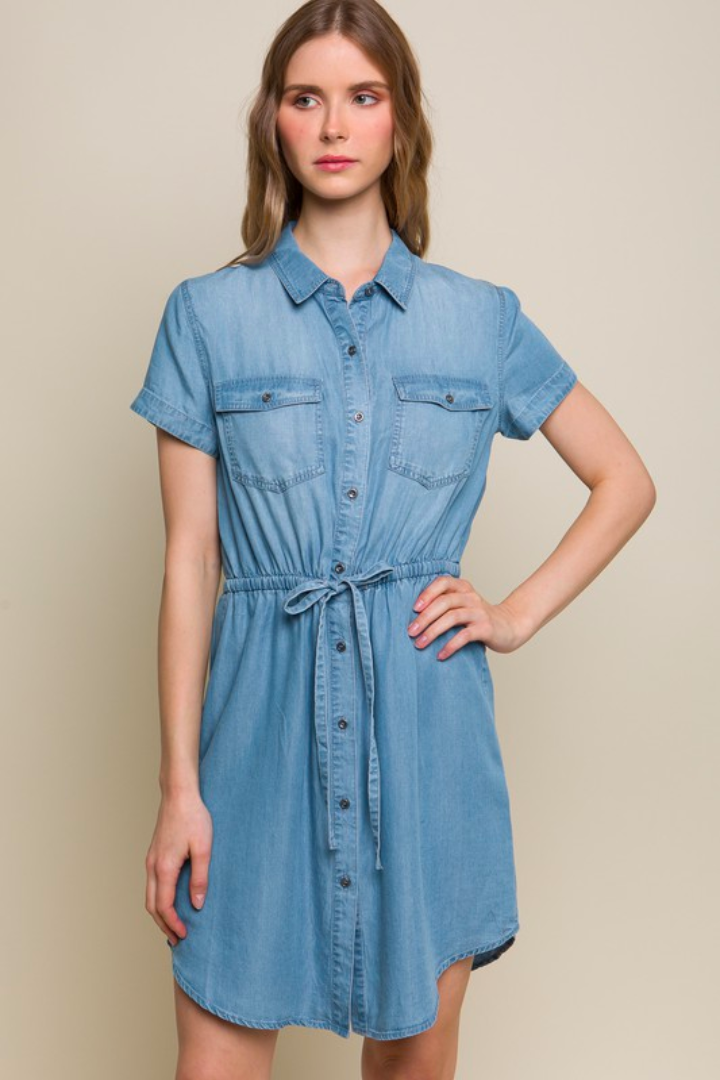 Tencel Button Down Shirt Dress