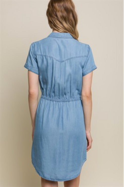 Tencel Button Down Shirt Dress